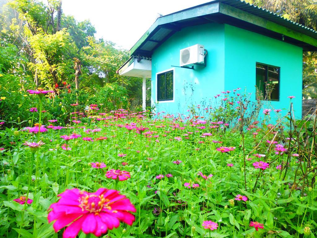 尼尔米你山林小屋 锡吉里亚 客房 照片